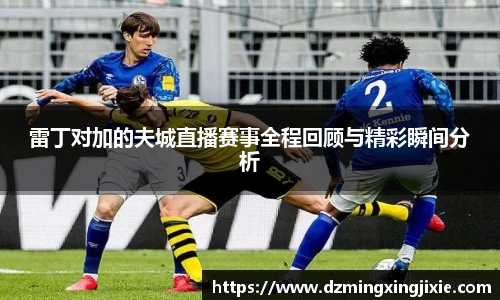 雷丁对加的夫城直播赛事全程回顾与精彩瞬间分析