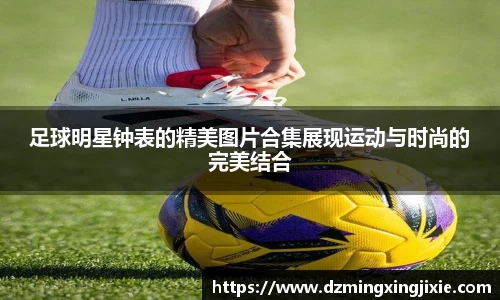 vsport体育在线官网