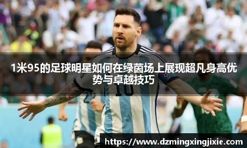 vsport体育在线官网