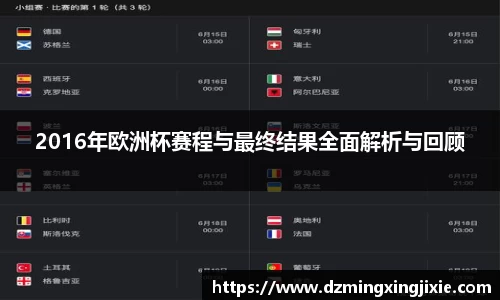 2016年欧洲杯赛程与最终结果全面解析与回顾